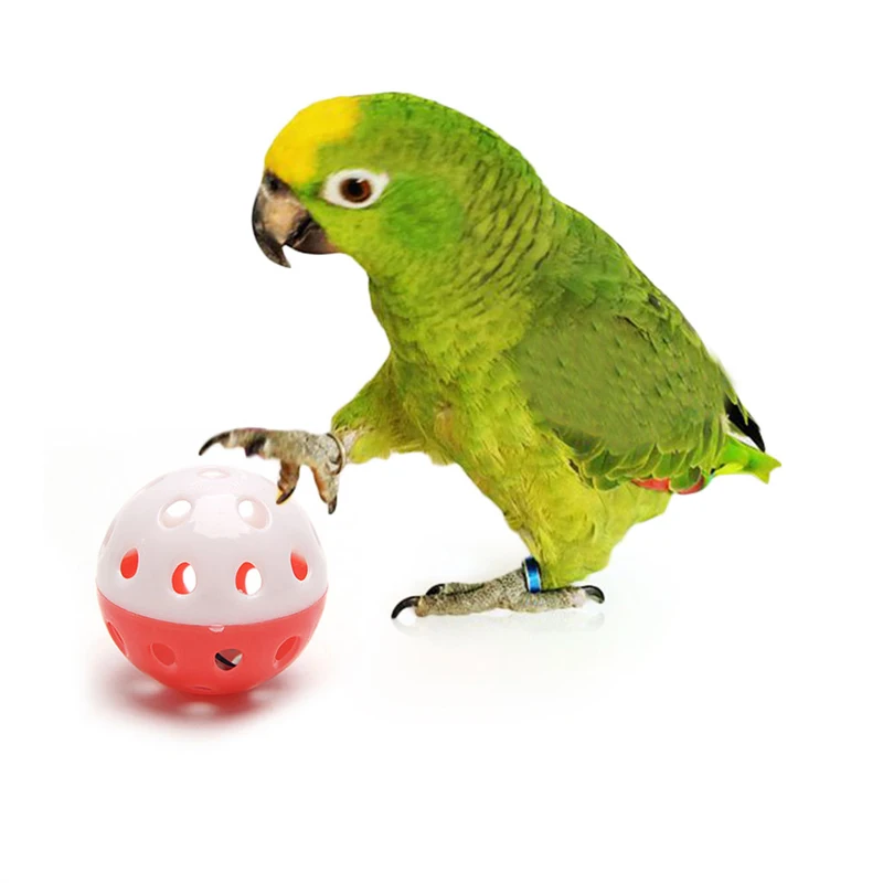 2025 New Pet Parrot Toy Bird Hollow Bell Ball For Parakeet Cockatiel Chew Fun Cage Toys thumbnail 2