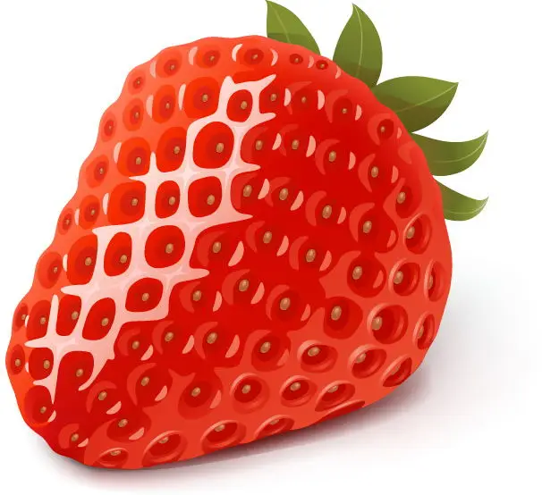 Special Strawberry Fertilizer Supplemental Plant Nutrition Hydroponics Expanded Fruit Rapid Rooting For Home Garden Bonsai thumbnail 5