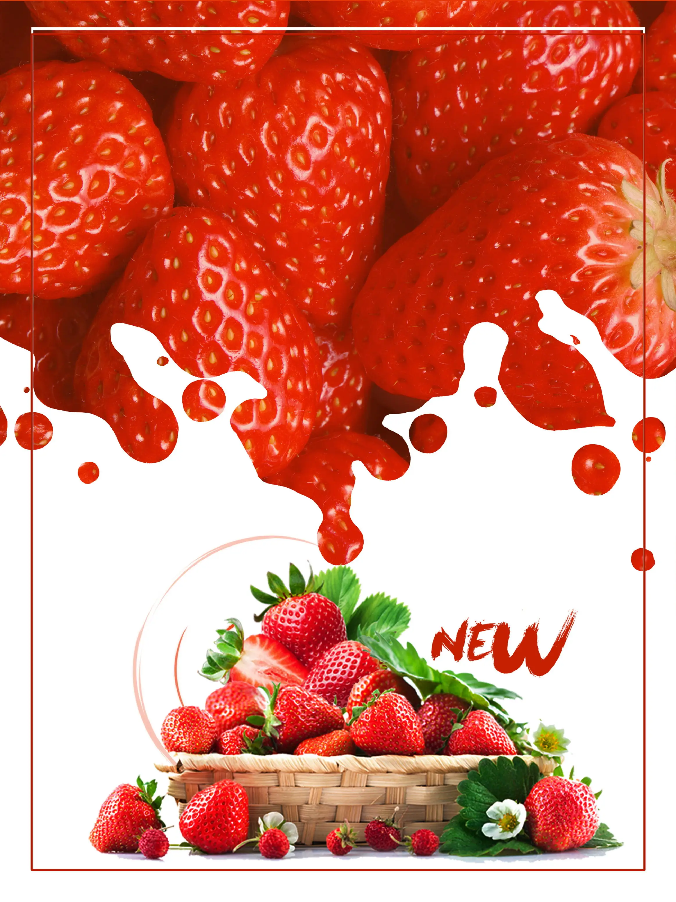 Special Strawberry Fertilizer Supplemental Plant Nutrition Hydroponics Expanded Fruit Rapid Rooting For Home Garden Bonsai thumbnail 4