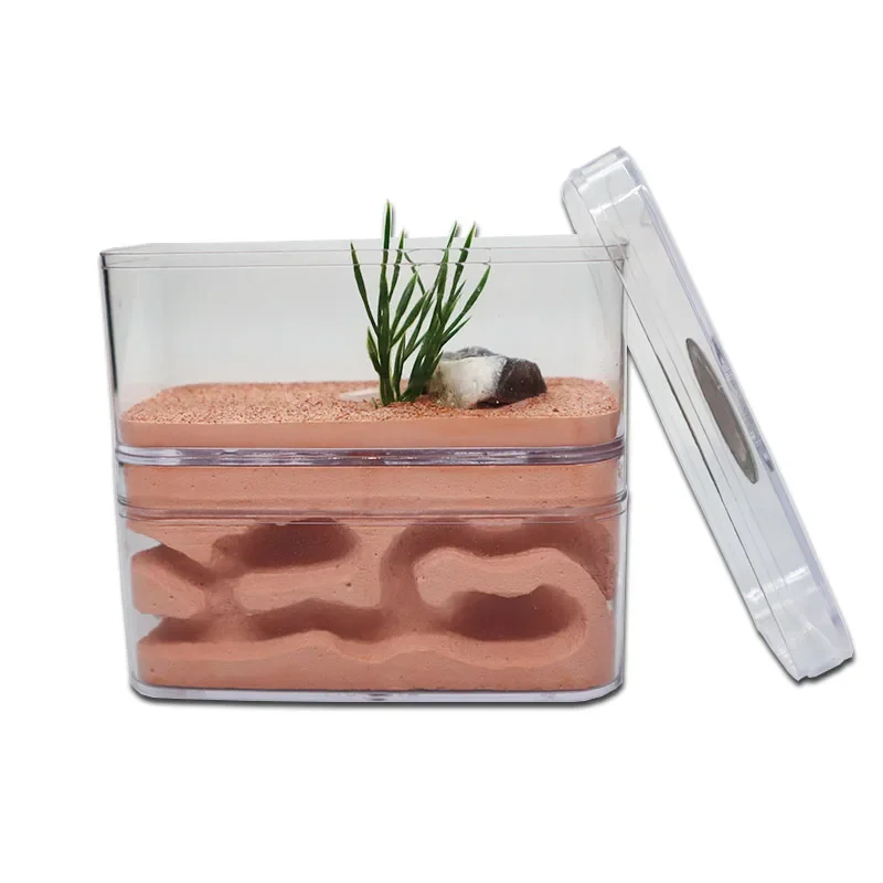 Plaster Ant Farm with Workshop Highly Moisturizing Ant Nest Pet Anthil Castle Ant House with Feeding Area Insect Box 12*6*10cm thumbnail 2