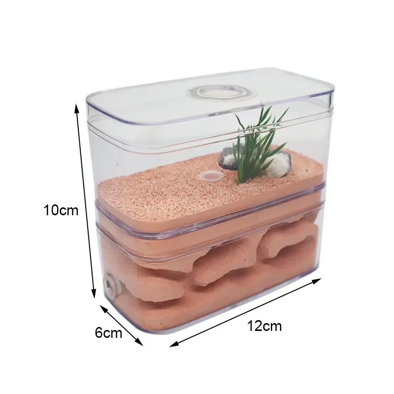 Plaster Ant Farm with Workshop Highly Moisturizing Ant Nest Pet Anthil Castle Ant House with Feeding Area Insect Box 12*6*10cm thumbnail 3