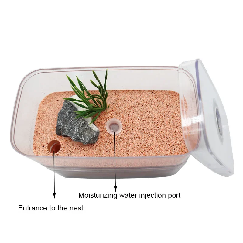 Plaster Ant Farm with Workshop Highly Moisturizing Ant Nest Pet Anthil Castle Ant House with Feeding Area Insect Box 12*6*10cm thumbnail 4
