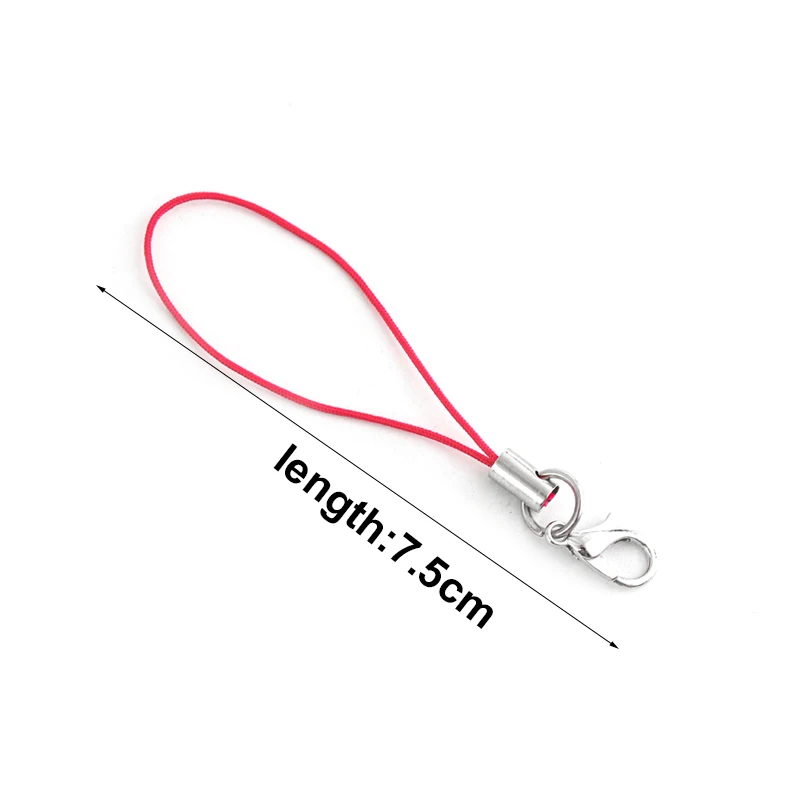 20pcs Lanyard Lariat Strap Cords Lobster Clasp Rope Keychains Hooks Mobile Set Charms Keyring Bag Accessories Key Ring thumbnail 3