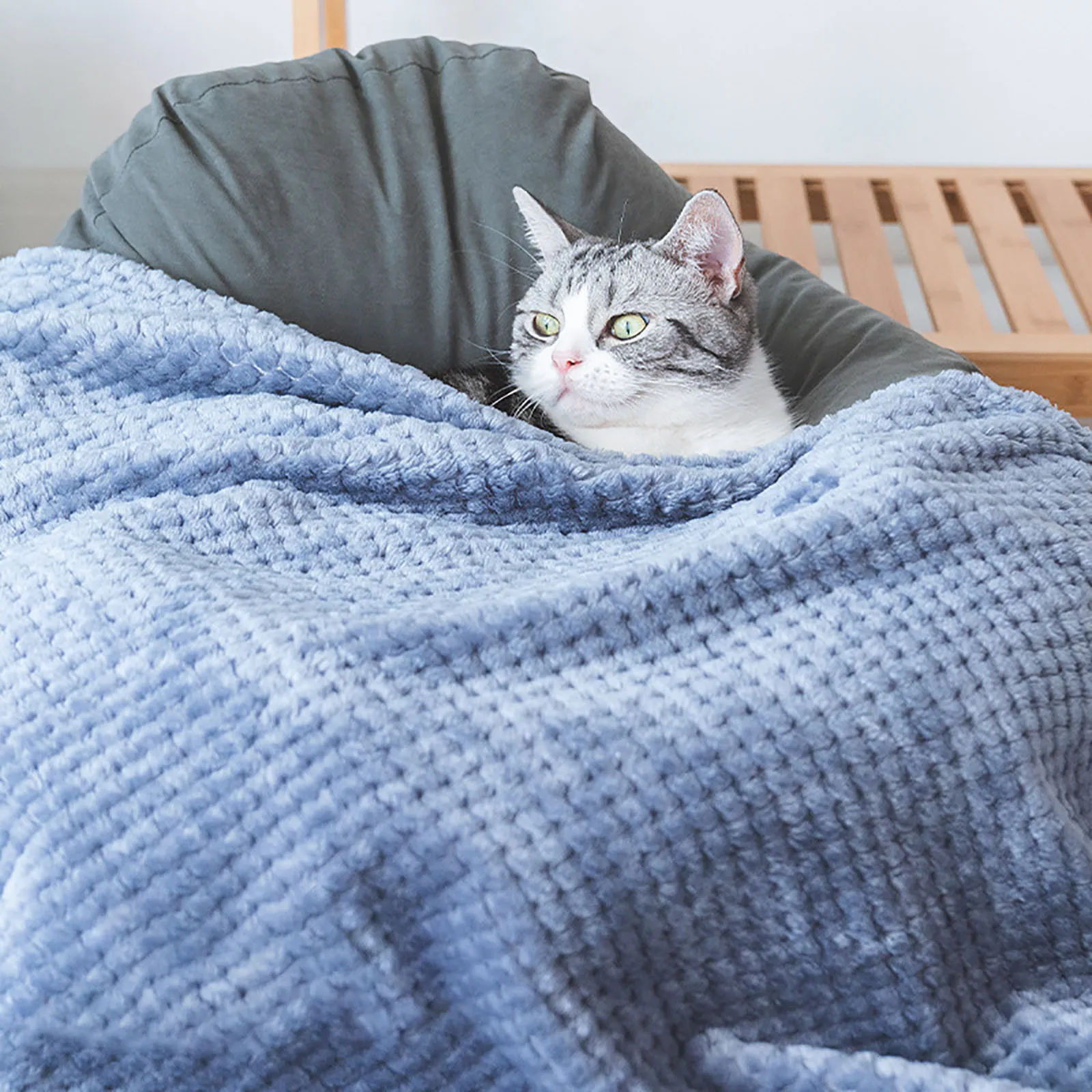 Soft Pet Blanket Plush Dog Sleeping Blanket Solid Color Washable Sofa Pad Portable Warm Cat Bed Blanket Home Carpet Pet Supplies thumbnail 2