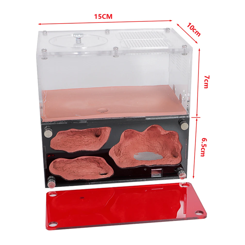 Acrylic Ant Farm Temperature Control Concrete Ant Nest Infinite Expansion Insect House Colony Drinker Anthill Kit Accessories thumbnail 2