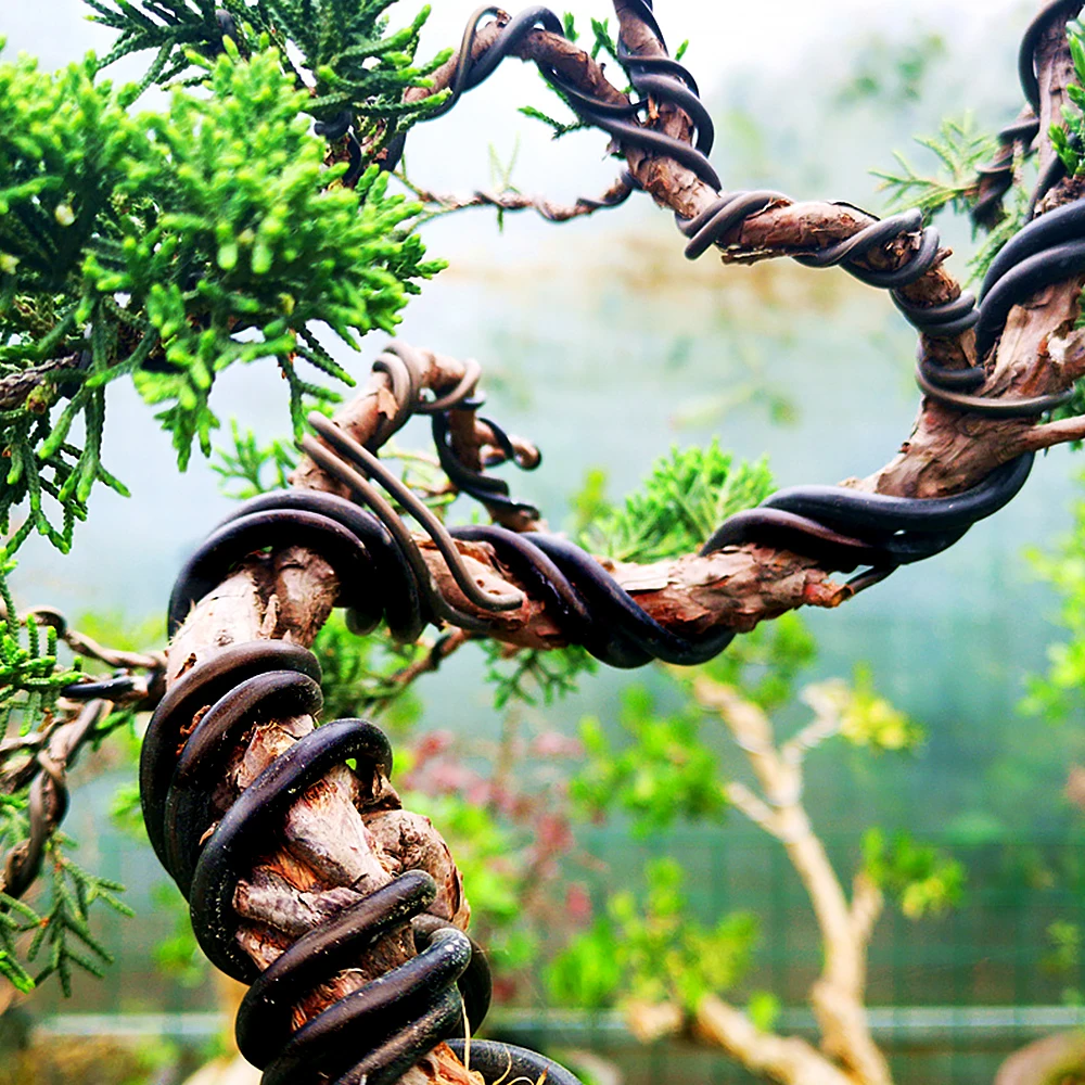 Garden Bonsai Shape Aluminum Wire (1.0mm, 1.5mm, 2.0mm, 3mm, 4mm, 5mm) Black Six Sizes for Garden and Plant Shapes thumbnail 5