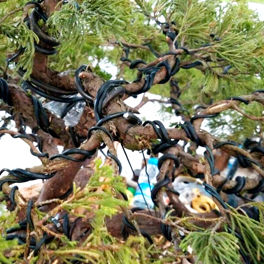 Garden Bonsai Shape Aluminum Wire (1.0mm, 1.5mm, 2.0mm, 3mm, 4mm, 5mm) Black Six Sizes for Garden and Plant Shapes thumbnail 3