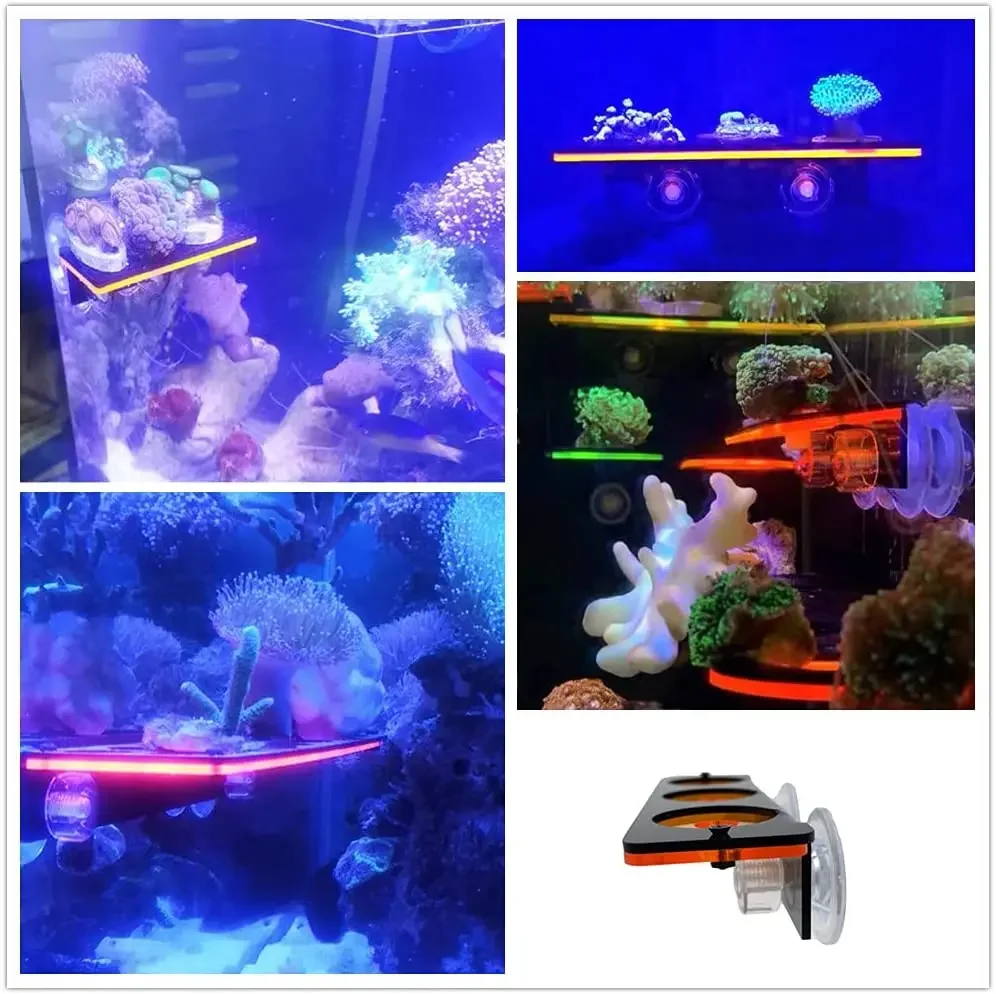 Fish Tank Fluorescent Coral Frag Bracket Coral Growing Holder Acrylic Coral Rack Marine Reef Stand Aquarium Accessories thumbnail 3