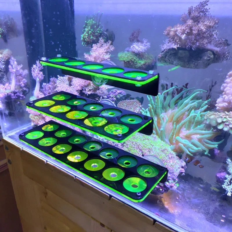 Fish Tank Fluorescent Coral Frag Bracket Coral Growing Holder Acrylic Coral Rack Marine Reef Stand Aquarium Accessories thumbnail 2