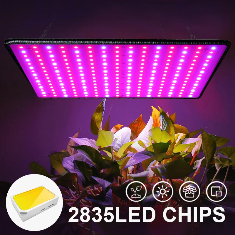 2PCS 2000W LED Grow Light Full Spectrum Phyto Lamp Indoor Phytolamp for Flowers Red Led Plant Growth Light Grow Tent EU US Plug thumbnail 6