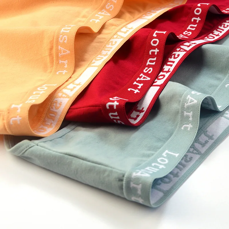 3PCS/Set Women Cotton Solid Seamless Underwear Sexy Plus Size Panties Letter Lingerie Mid Waist Comfortable Briefs NKT2123 thumbnail 4
