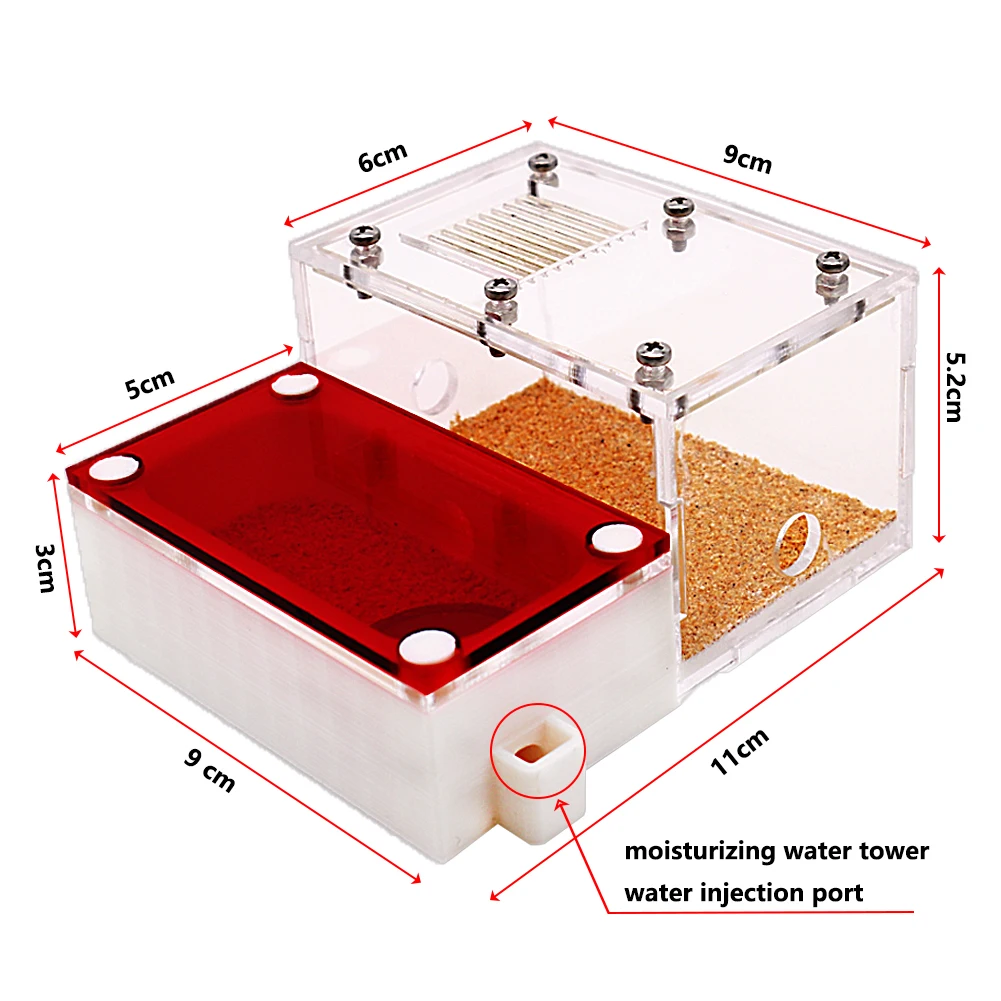 3D Acrylic Mini Ant Nest With Moisturizing Water Tower Ant Farm Pet Queen Breeding Box Anthill Insect House Workshop Accessory thumbnail 3