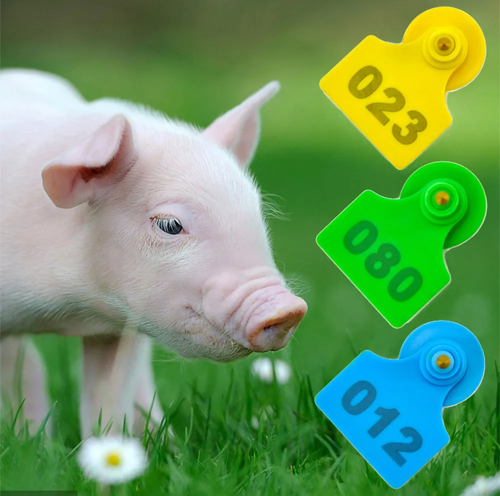 Farm Animal Ear Tags, Livestock Supplies, Plastic TPU Identification Label, Cow, Cattle, Goats, Sheep, 100Pcs thumbnail 2