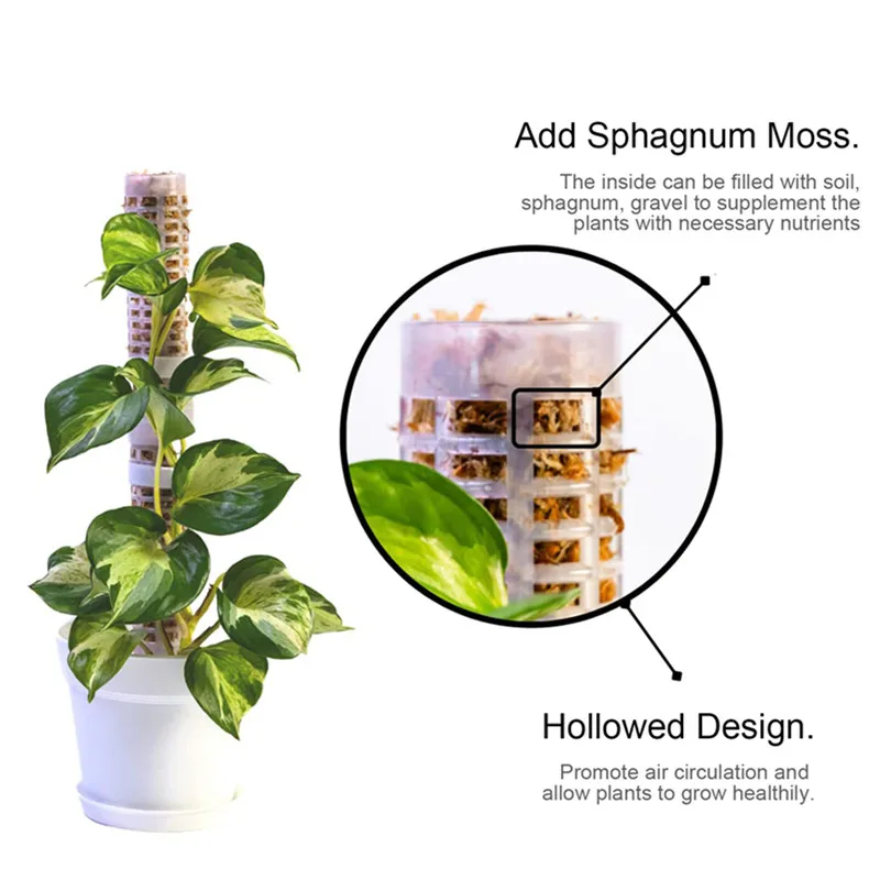 Plants Climbing Stick Plant Pole Sphagnum Plant Support Trellis Frame Water Moss Column Pole for Potted Flower Vines Climbing thumbnail 4