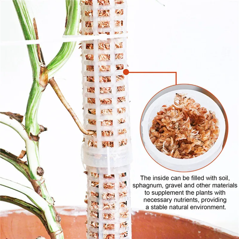 Plants Climbing Stick Plant Pole Sphagnum Plant Support Trellis Frame Water Moss Column Pole for Potted Flower Vines Climbing thumbnail 5