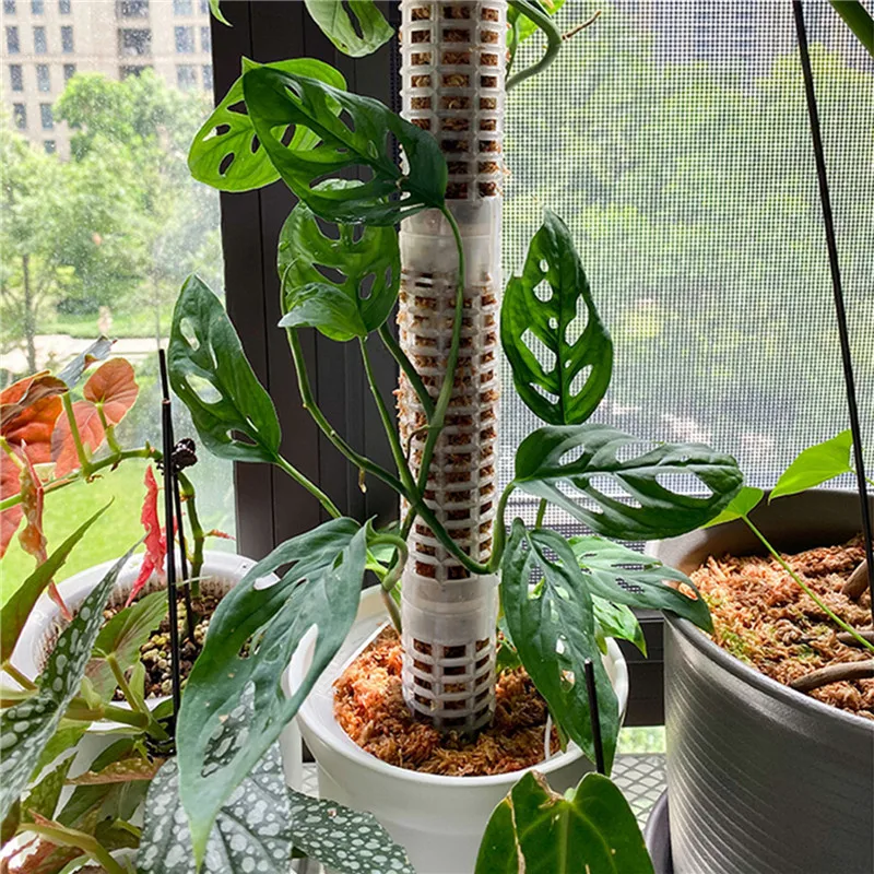 Plants Climbing Stick Plant Pole Sphagnum Plant Support Trellis Frame Water Moss Column Pole for Potted Flower Vines Climbing thumbnail 6