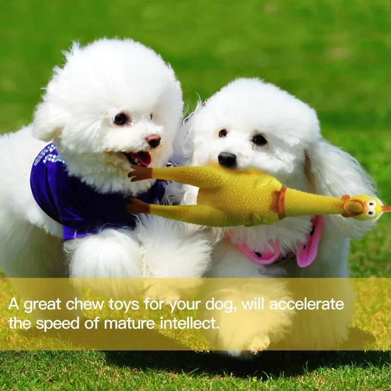 Screaming Chicken Squeeze Sound Toy Pets Dog Toys Product Shrilling Decompression Tool Squeak Vent chicken Chicken Interesting thumbnail 3