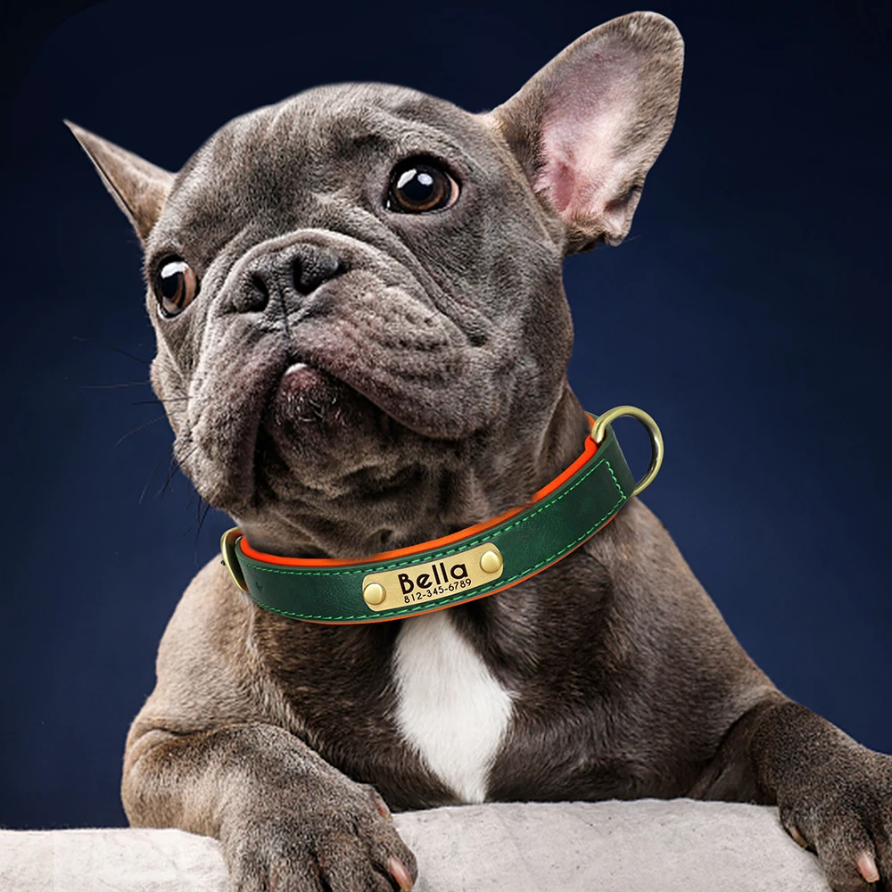 Customized PU Leather Nameplate Dog Collar Soft Padded Dogs Collars Free Engraving Name for Small Medium Large Dogs Adjustable thumbnail 2