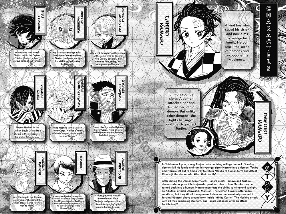 20 Volume Anime Demon Slayer Kimetsu No Vol 20 Yaiba Japan Fantasy Science Mystery Suspense English Version Manga Comic Book thumbnail 2
