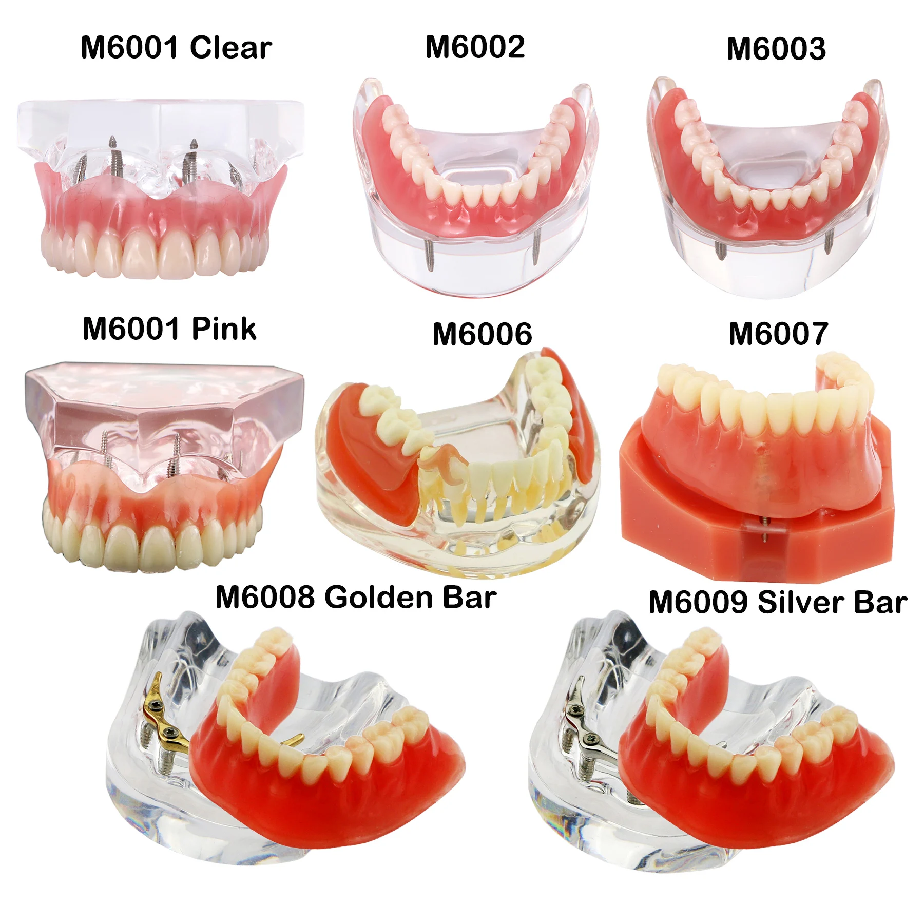 Dental Teeth Model Dental Teaching Models Implant Model Removable Dentistry Model Teeth For Training Studying Patient Education thumbnail 4