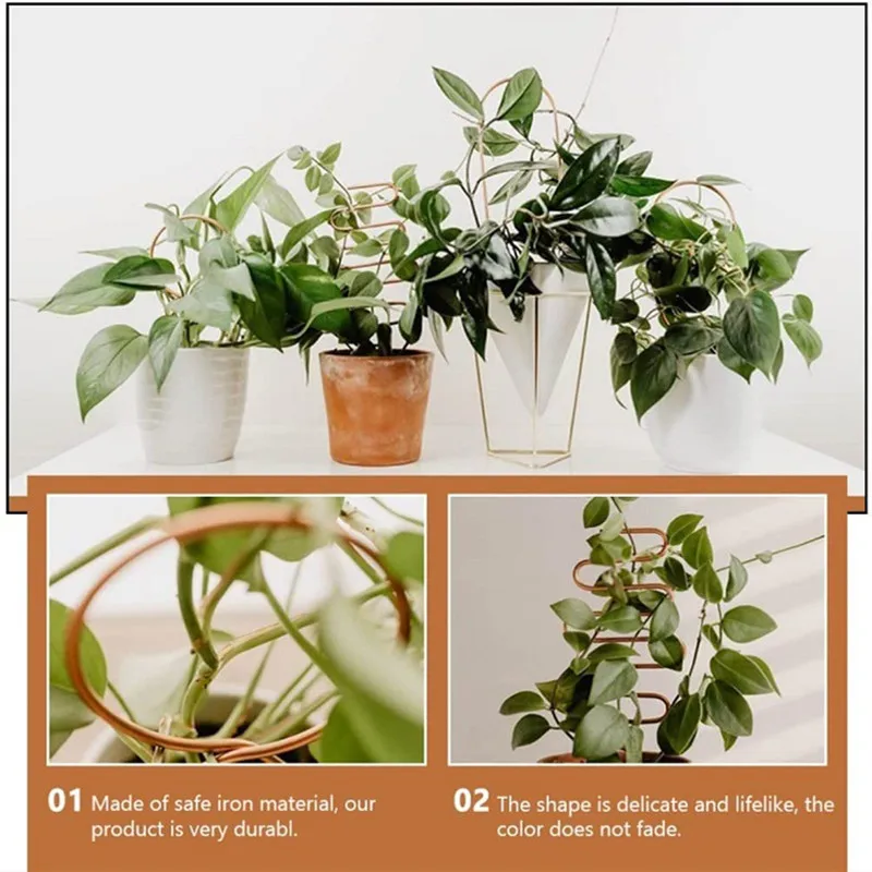 Plant Climbing Rack Plant Trellis Garden Plant Support Stake Stand Metal Vine Growth Flower Rattan Climbing Rack Garden Supplies thumbnail 2