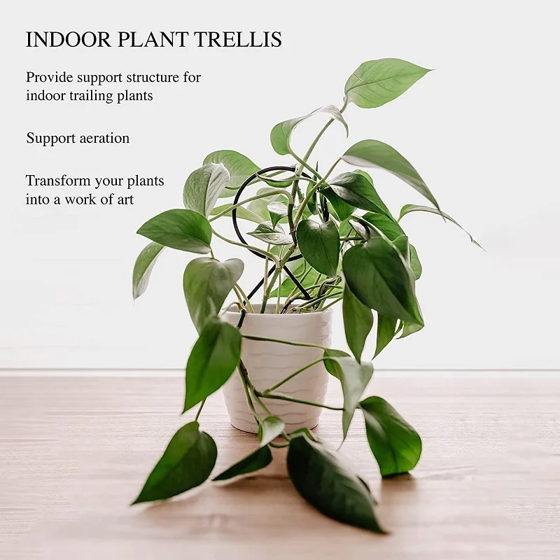 Plant Climbing Rack Plant Trellis Garden Plant Support Stake Stand Metal Vine Growth Flower Rattan Climbing Rack Garden Supplies thumbnail 6
