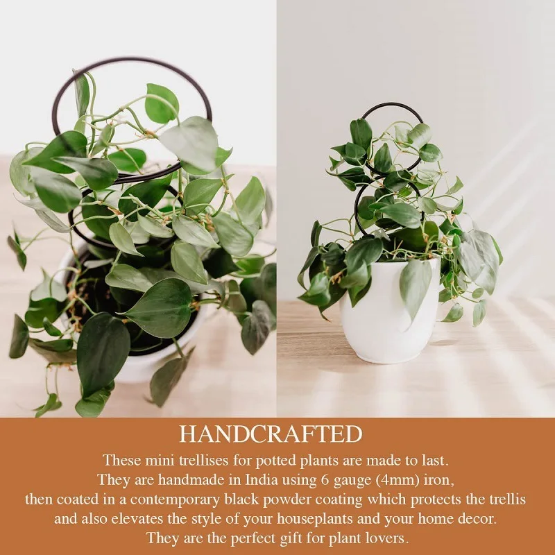 Plant Climbing Rack Plant Trellis Garden Plant Support Stake Stand Metal Vine Growth Flower Rattan Climbing Rack Garden Supplies thumbnail 3