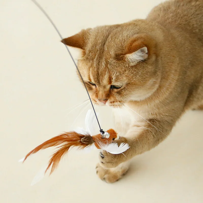 Handfree Bird/Feather Cat Wand with Bell Powerful Suction Cup Interactive Toys for Cats Kitten Hunting Exercise Pet Products thumbnail 2