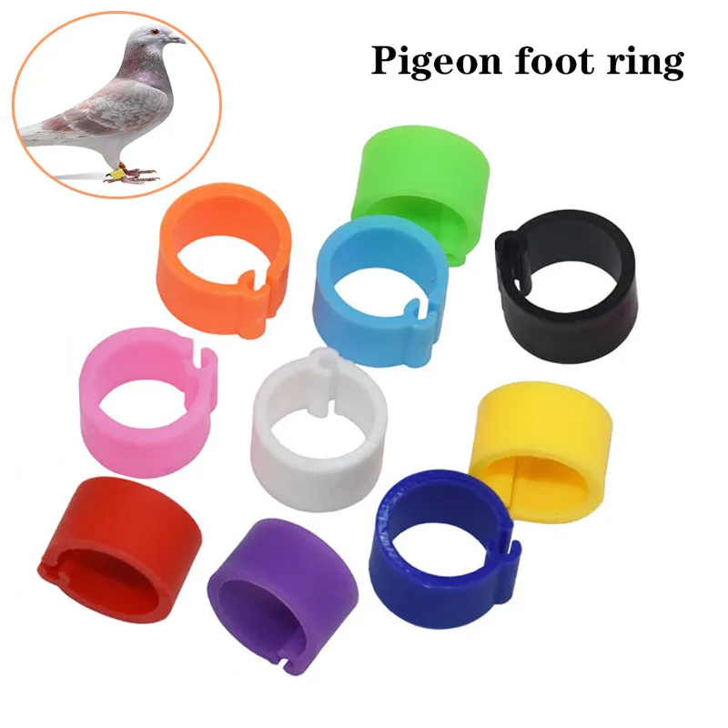 Chicken Foot Rings Label Clasp Plastic Adjustable Poultry Leg Snap Ratchet Clip Digital Duck Pigeon Goose Farm Feed Tool 25/100 thumbnail 2