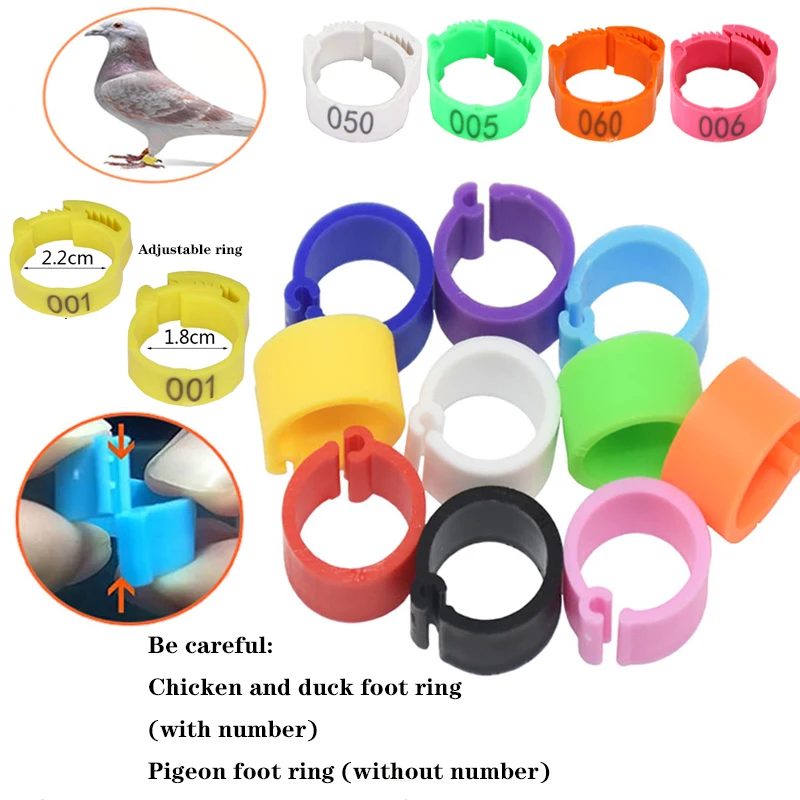 Chicken Foot Rings Label Clasp Plastic Adjustable Poultry Leg Snap Ratchet Clip Digital Duck Pigeon Goose Farm Feed Tool 25/100 thumbnail 4