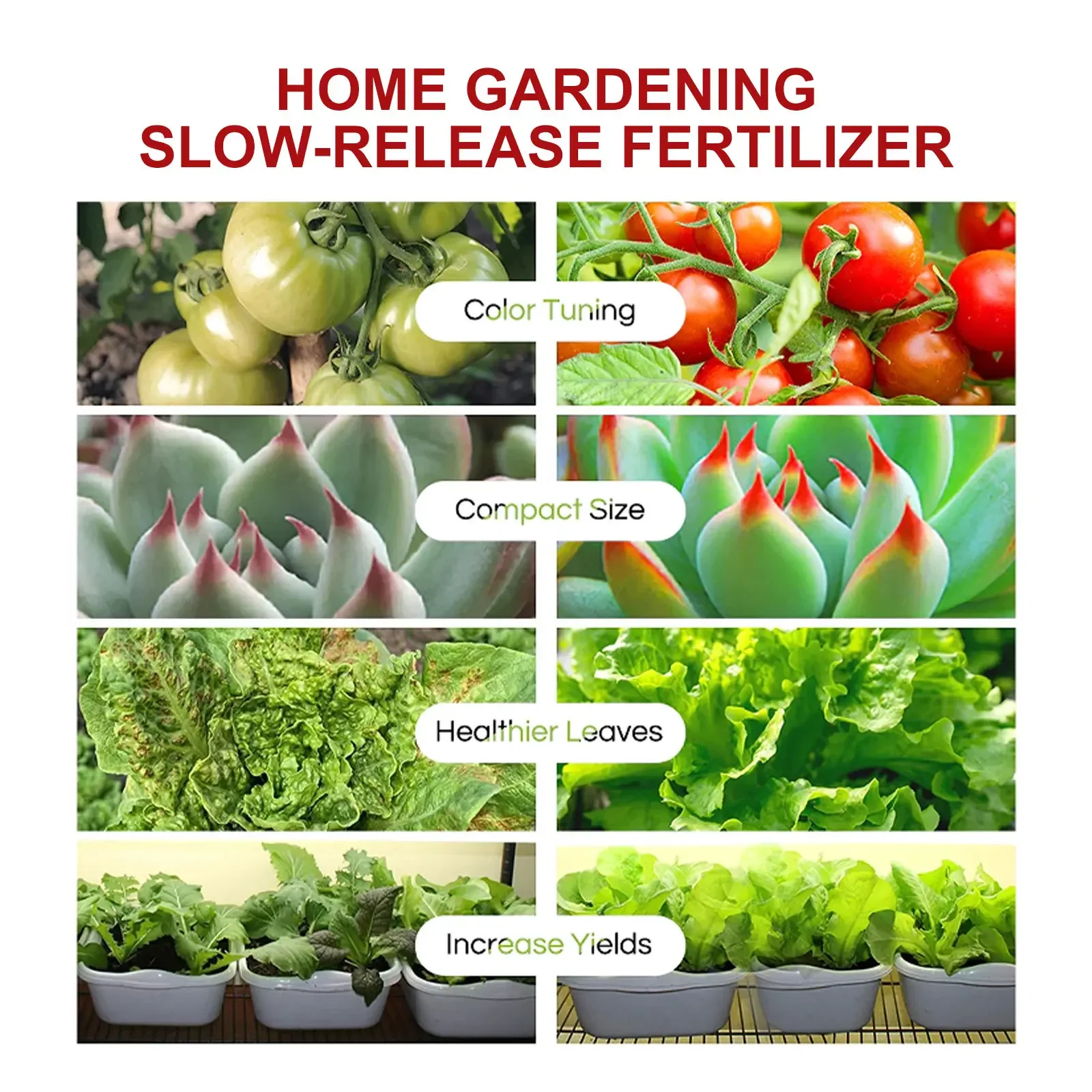 Garden Universal Slow-Release Tablet Recovery Orchid Succulent Plant Indoor Plant Organic Fertilizer Plant Slow Release Agent thumbnail 4