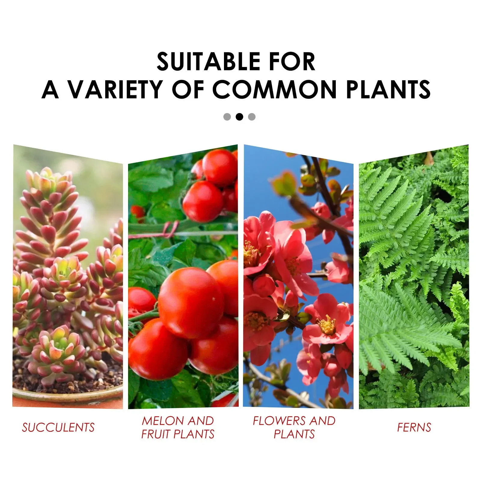 Garden Universal Slow-Release Tablet Recovery Orchid Succulent Plant Indoor Plant Organic Fertilizer Plant Slow Release Agent thumbnail 6