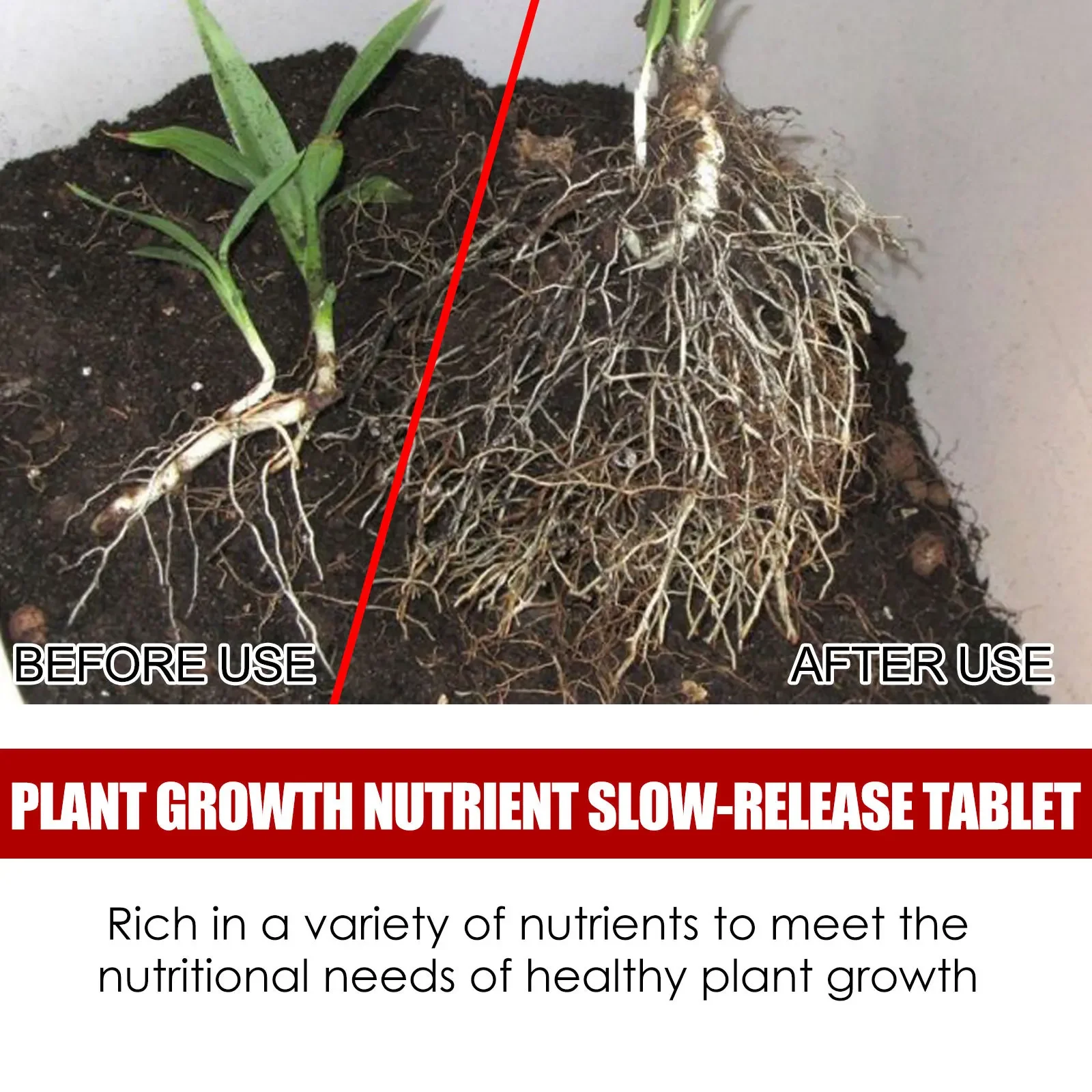 Garden Universal Slow-Release Tablet Recovery Orchid Succulent Plant Indoor Plant Organic Fertilizer Plant Slow Release Agent thumbnail 5
