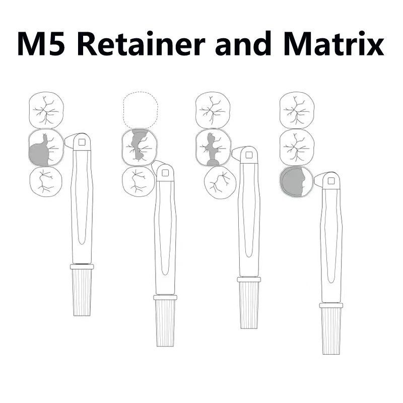 Dental Matrix Roll Type Retainer and Matrix 180° Adjustable Sectional Contoured Matrices Dental Crown Materials Dentist Tools thumbnail 3