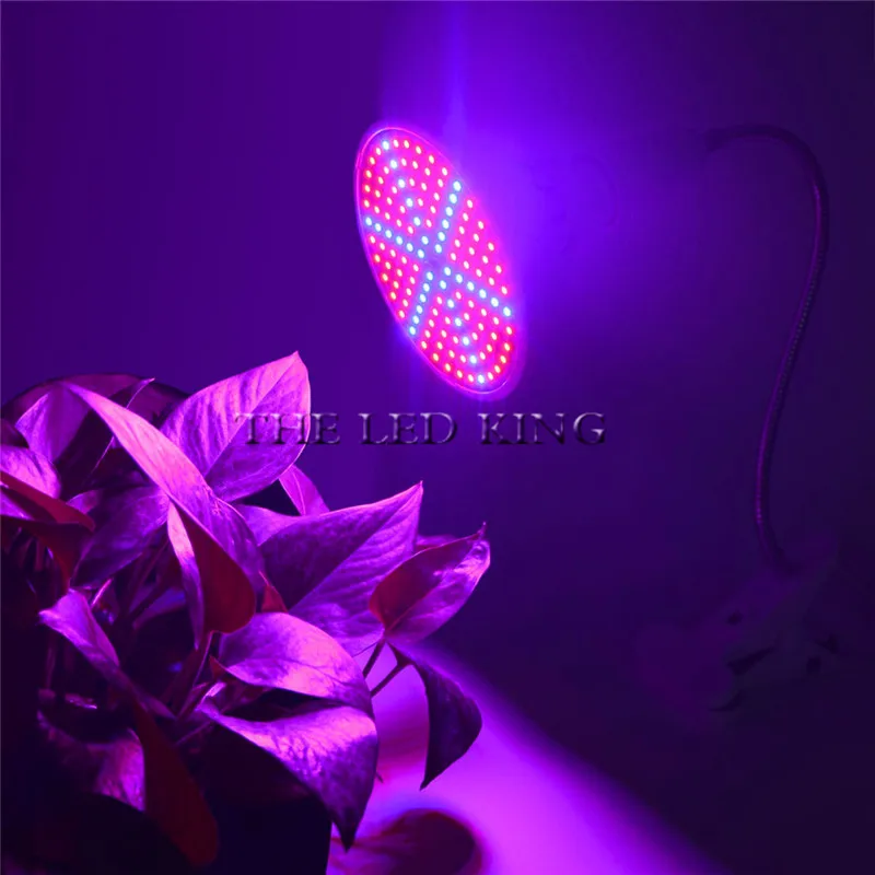 Phyto Lamp Full Spectrum LED Grow Light E27 Plant Lamp Fitolamp For Indoor Seedlings Flower Fitolampy Grow Tent Box thumbnail 5