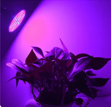 Phyto Lamp Full Spectrum LED Grow Light E27 Plant Lamp Fitolamp For Indoor Seedlings Flower Fitolampy Grow Tent Box thumbnail 4