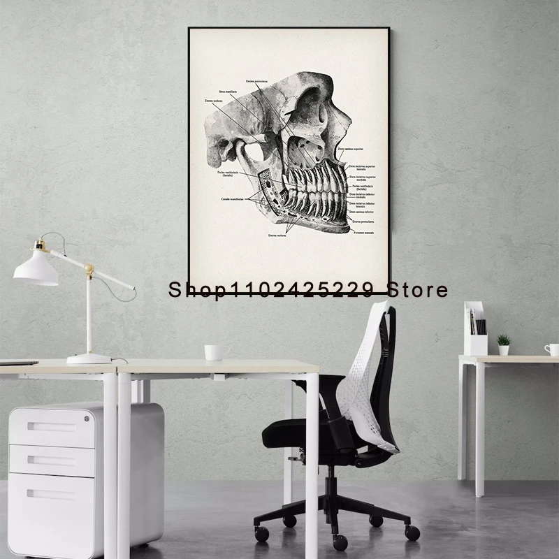 Dental Anatomy Posters Dentistry Art Dentist Office Decor Orthodontist Gift Dental Clinic Wall Decor Dental School Education thumbnail 2