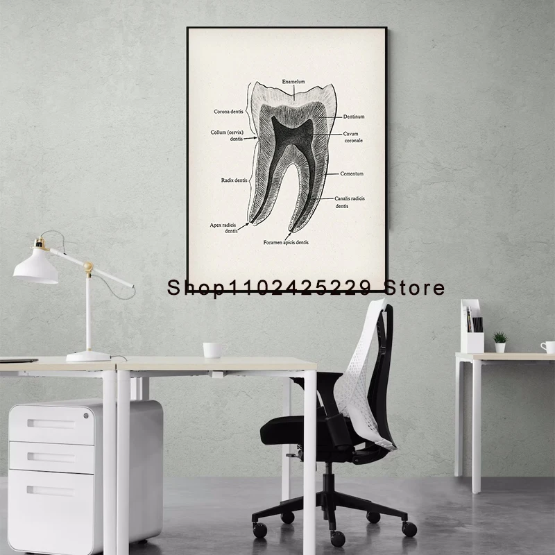 Dental Anatomy Posters Dentistry Art Dentist Office Decor Orthodontist Gift Dental Clinic Wall Decor Dental School Education thumbnail 4