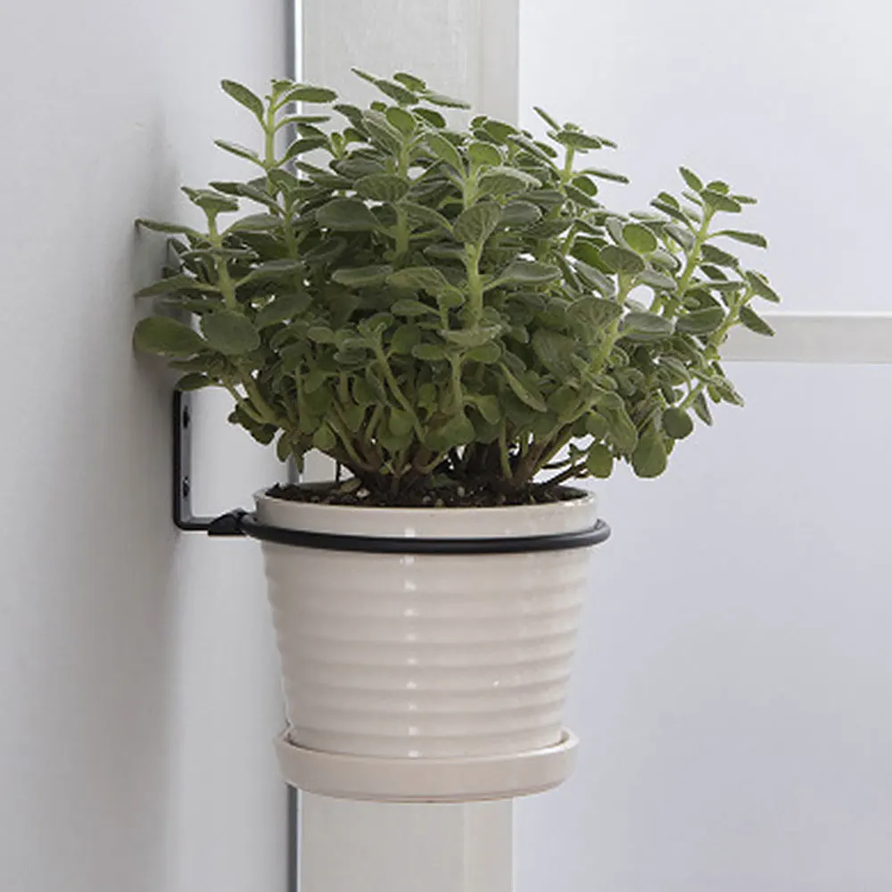 Flower Pot Trays Wall Mounted Pot Ring Holder Metal Planter Hooks Hangers Wall Bracket Plant  storage rack Garden thumbnail 3