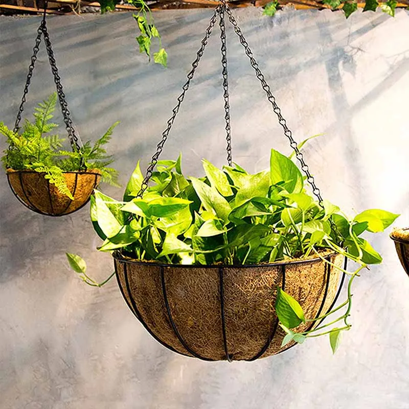 8/10 Inch Round Wire Plant Holder Metal Hanging Basket Coconut Liner Lining Plants Flower Garden Pot for Home Balcony Decoration thumbnail 2