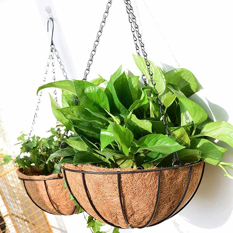 8/10 Inch Round Wire Plant Holder Metal Hanging Basket Coconut Liner Lining Plants Flower Garden Pot for Home Balcony Decoration thumbnail 3