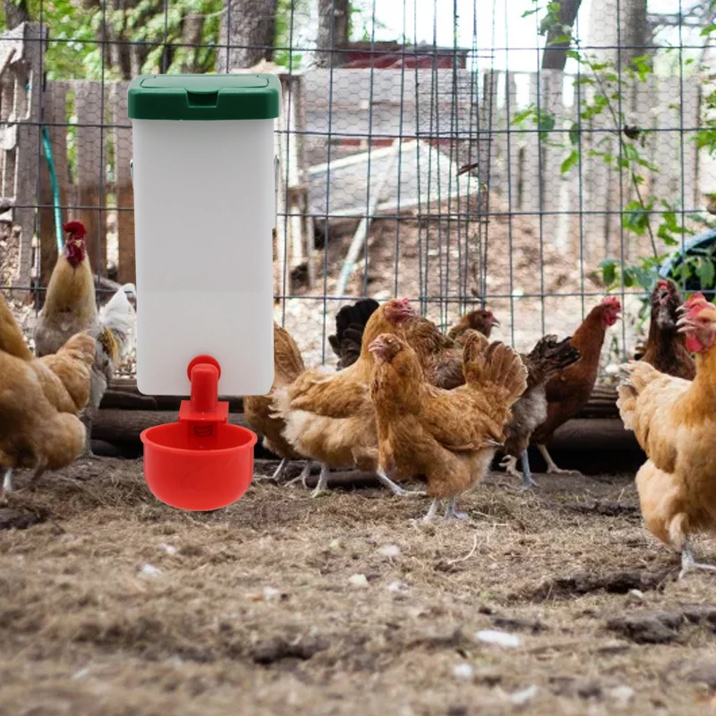 1000ml Rabbit Water bottle with Red Water Bowl Poultry Chick Auto Automatic Drinker for Chicken Duck thumbnail 6