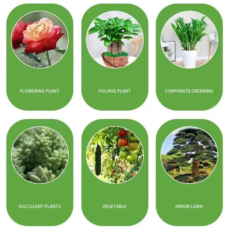 Garden Water-soluble Fertilizer for Plants Flowers Bonsai Succulent 20-20-20+TE NPK Compound Fertilizer With Trace Element thumbnail 6