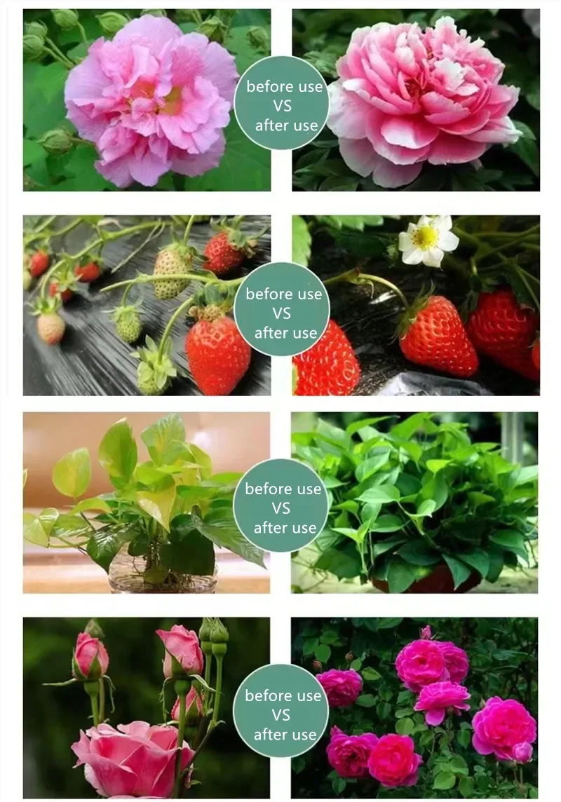 Garden Water-soluble Fertilizer for Plants Flowers Bonsai Succulent 20-20-20+TE NPK Compound Fertilizer With Trace Element thumbnail 5