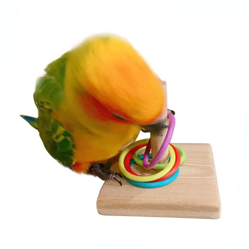 Wooden Bird Toy Parrot Platform Plastic Ring Intelligence Development Parrot Training Toy Bird Chew Bird Toy Puzzle Pet Supplies thumbnail 5