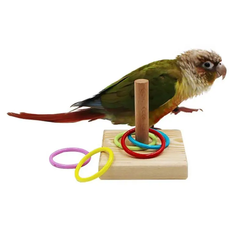 Wooden Bird Toy Parrot Platform Plastic Ring Intelligence Development Parrot Training Toy Bird Chew Bird Toy Puzzle Pet Supplies thumbnail 2