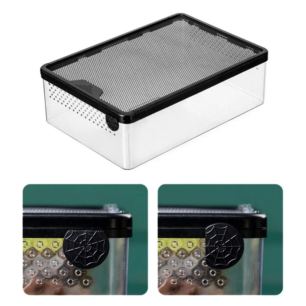 Reptile Breeding Box Acrylic Spider Lizard Amphibian Terrarium Leak-proof Pet Habitat Animal Accessories thumbnail 4
