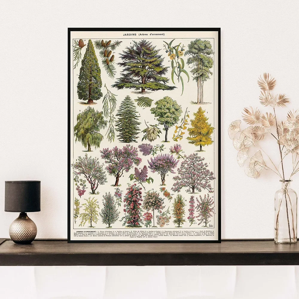 Vintage Adolphe Millot Encyclopedia Posters and Prints Botanical Mushrooms Herbs Flowers Insect Canvas Paintings Wall Art Decor thumbnail 3