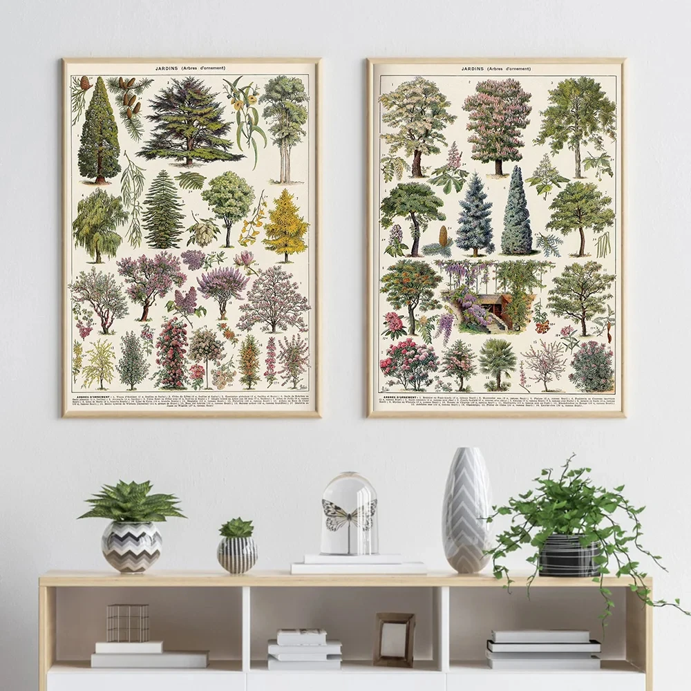Vintage Adolphe Millot Encyclopedia Posters and Prints Botanical Mushrooms Herbs Flowers Insect Canvas Paintings Wall Art Decor thumbnail 5