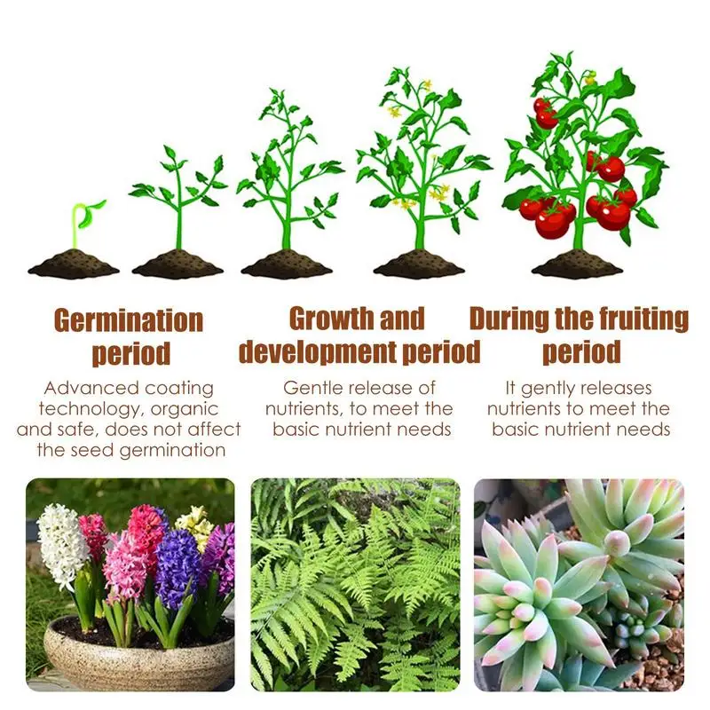 120days Special Controlled Slow Release Fertilizer For Succulent Plant Universa Nutrient Granular Fertilizer For Potted Plants thumbnail 6